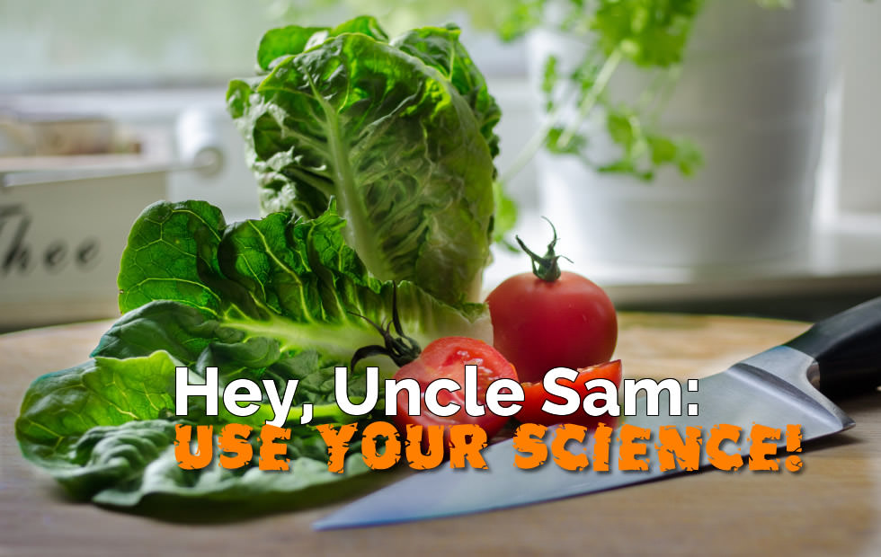 low carb diet plan for picky eaters